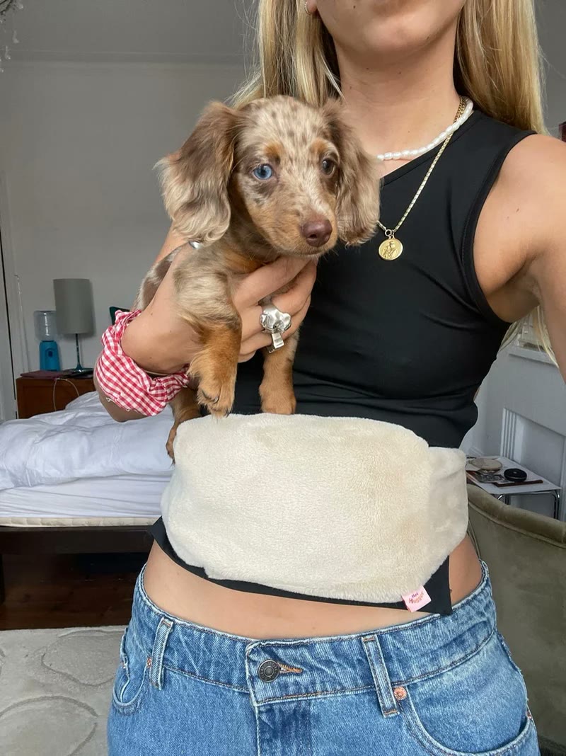 Woman holding a puppy, wearing Lovelle Hug around her waist